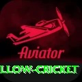 willow cricket Apps (Tools & Injectors) Deluxe v2.5.0