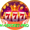willow cricket Gaming Legend v2.1.7