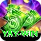 Yay Win Pro1 v2.8.5
