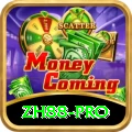 zh88 VIP Casino App